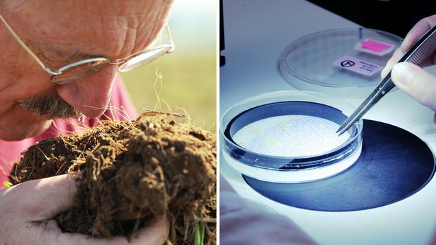 10 Billion - What's on Your Plate?